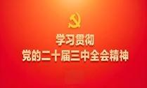 黨的二十屆三中全會(huì)精神